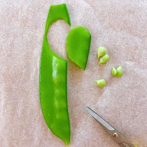 加熱鮭魚炒飯後,並鋪在便當盒底部
開始製作「小瓢蟲」!
(1.) 荷蘭豆去絲滾水燙一分鐘取出放涼
(2.) 從彎的那邊剪開,取出豆子,打開用愛心壓模,對準中心線壓出幸運草葉子
(沒有愛心壓模可以取出豆子以後,直接從相連的地方往外剪,打開變成愛心型)