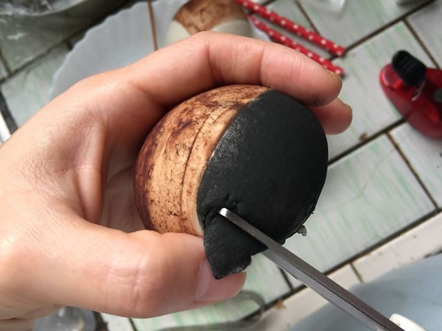 將塗好黑色和咖啡色的包子外皮剪一小三角形,用煎義大利麵條插在包子上方當柴柴的耳朵。